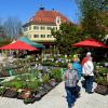 Die Gartenschau findet vom 26. bis 28. April auf Gut Mergenthau statt.   