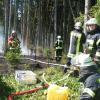 In Augsburg steigt die Waldbrand-Gefahr.