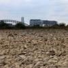 Der ausgetrocknete Uferbereich des Rheins bei Köln im vergangenen Sommer.