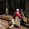 Viel Zeit in der Natur können die Kinder in einem Waldkindergarten verbringen.