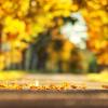 Auch bei strahlendem Sonnenschein kann es auf den Straßen im Herbst gefährlich werden. Feuchtes Laub beispielsweise kann zu ähnlich glatten Fahrbahnverhältnissen führen wie Schnee.