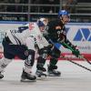 Eishockey DEL, Saison 2023/24
Augsburger Panther vs München

 Eishockey DEL, Saison 2023/24


Augsburger Panther vs München

Chris Collins #10 (Augsburger Panther), 