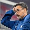 Steht in der Kritik: Schalke-Trainer David Wagner.