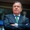 Gerhard Schröder steht wegen seiner Lobbyarbeit für russische Energiekonzerne heftig in der Kritik. Das EU-Parlament sprache sich für Sanktionen gegen den Altkanzler aus.  