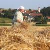 Die Bäuerin mit der Heugabel auf dem Feld: Ein Bild das selten geworden ist. 