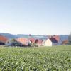 Am westlichen Ortsrand von Villenbach soll die geplante Umgehung vorbeiführen. Im Hintergrund das Neubaugebiet „Am Kreuzacker“. 