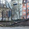 Der Sturm hat einen Baum in der Nähe des Königsplatzes umgeknickt. 