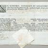 Dieses Dokument musste der Ulmer Händler Matthaeus Neubronner auf seiner Reise mit sich führen. 	