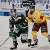 In der DEL-Hauptrunde ging es zwischen den Augsburger Panthern und der DEG (hier Simon Sezemsky und Braden Pimm) schon zur Sache. Nun treffen beide Teams in den Play-offs aufeinander.