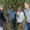 Die Familie Bauer. Die Eltern Alexandra und Ludwig mit ihren Kindern Julia und Manuel. Sie zeigen eine dicke natürliche Mulchschicht auf der Erde. Sie nährt den Boden und verhindert Unkraut. Neben einem Miscanthusfeld erscheinen Menschen winzig und klein.  