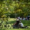 Oberschönenfeld eigenet sich in der Ferienzeit bestens als Ausflugsziel. Neben dem Museum , dem Kloster und weitläufigen Wanderwegen kann man es sich auch auf der Wiese am Spielplatz mit der ganzen Familie zum Picknick gemütlich machen.