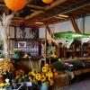 Kulinarische Köstlichkeiten und Produkte aus der Region hat der Markt "Herbstzauber" in Haunsheim am Samstag geboten. Er lockte trotz Regens Besucher an. 