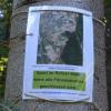 Der Protest gegen den Neubau der B16 bei Ichenhausen wächst. Im Rohrer Wald haben Kritiker Plakate aufgehängt. 	
