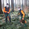 Zwei Auszubildende des Forstbetriebs Zusmarshausen, Benedikt Miller (links) und Florian Dir, pflanzen Jung-Tannen aus. Mit Forstwirtschaftsmeister Andreas Schedler und einem weiteren Auszubildenden schaffen sie etwa 300 bis 500 Wildlinge an einem Vormittag.