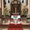 Das Christuskind liegt in der Wiege, umrahmt von roten Weihnachtssternen und Kerzenschein: der diesjährige Weihnachtsaltar in der Stadtpfarrkirche St. Michael in Vöhringen. 	