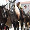 Gänse, Ochsen, bepackte Esel: Beim Einzug der Bauern und Handwerker auf das Frundsbergfest gab es viel zu sehen.