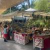 Der "Hippy Market Punta Arabí" ist einer der größten und ältesten Hippiemärkte auf Ibiza. 2023 feiert er seinen 50. Geburtstag. Neu ist der Sunset Market, der die Öffnungszeiten auf Freitagabend erweitert.