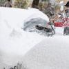 Mit einem Besen befreit eine junge Frau am Samstag in Stralsund die Fensterscheiben ihres Autos von der weißen Pracht. Das zunächst für die Nacht angekündigte Schneechaos blieb weitgehend aus. Foto: Stefan Sauer dpa/lmv/lno 