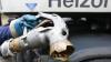Der Preis für Heizöl könnte schon bald sein Rekordhoch erreichen. dpa