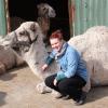 Anna-Lena Eichinger möchte die Kameloase mit ihrer Spendenaktion retten. 