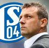 Der FC Schalke will unbedingt Markus Weinzierl verpflichten. Eine Einigung mit dem FC Augsburg steht kurz bevor.