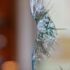 Eingeworfen wurde unter anderem die Schaufensterscheibe eines Bäckereiladens in Wulfertshausen. 