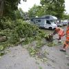 Bäume, die es samt Wurzeln aus dem Boden zieht, blockierte Straßen und weitere Schäden hat der Sturm von Dienstag auf Mittwoch in der Region hinterlassen.