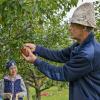 Günther Kirchbichler von den Natur- und Gartenfreunden Denklingen ist bekannt für seine Hüte und sein Fachwissen. Er zeigt Kindern die verschiedenen Apfel- und Birnensorten der Versuchsobstwiese. 