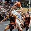 Nico Lagerman (am Ball) behielt mit der BG Hessing Leitershofen/Stadtbergen im Duell gegen seinen Bruder Alexander (vorne) von den Black Foret Panthern die Oberhand. Foto: Marcus Merk