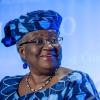 Die auf internationalem Parkett erfahrene Nigerianerin Ngozi Okonjo-Iweala hat sich im Rennen um den Chefposten der Welthandelsorganisation (WTO) durchgesetzt.
