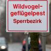 Wo die Vogelgrippe grassiert, gibt es Sperrbezirke. 