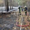 Berufsfeuerwehr und einige Freiwillige Feuerwehren der Stadt Augsburg waren beim Waldbrand im Stadtwald im Einsatz.