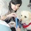 Gudrun Czekalla ist mit ihrem Hund Eiko zu Besuch auf der Demenz-Station im Seniorenheim der Dr.-Georg Frank-Altenhilfe-Stiftung in Stadtbergen. Jeder Besuch beginnt mit einer Begrüßungsrunde.