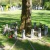 Im Bereich für Baumbestattungen am Protestantischen Friedhof in Augsburg gibt es Ärger.  	