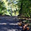 Auf diesem Fuß- und Radweg soll ein Unbekannter Anfang September eine 16-Jährige vergewaltigt haben.