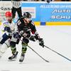 Eishockey
Das Spiel am letzten Sonntag gegen Schweinfurt war hart umkämpft (im Bild in schwarz Mika Reuter vom EHC Königsbrunn im Zweikampf mit Leonardo Ewald).
