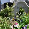Auch auf dem Stadtberger Friedhof gelten für Beerdigungen wegen Corona, besondere Regeln. 