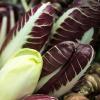 Tipp von Marktfrau Renate Haag: Radicchio schmeckt lecker, wenn man ihn in der Pfanne etwas karamellisiert und mit Orangenspalten und einer fruchtigen Salatsauce serviert.