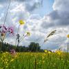 Stimmt jetzt für das schönste Leserfoto des Sommers ab.