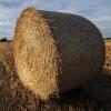 Strohballen haben einen Landwirt bei Alerheim überrollt und ihn dabei schwer verletzt.