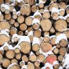 Baumaterial, Ersatz für fossile Produkte und erneuerbare Energiequelle: Holz gewinnt als nachwachsender Rohstoff immer mehr an Bedeutung.