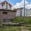 Auf dem Gelände der ehemaligen Post in Göggingen wurde wieder ein Baum gefällt. Die Hainbuche war laut Stadt stark geschädigt.