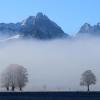 Nebel lichtet sich über den vor dem Panorama der Alpen stehenden, mit Raureif überzogenen Bäumen.