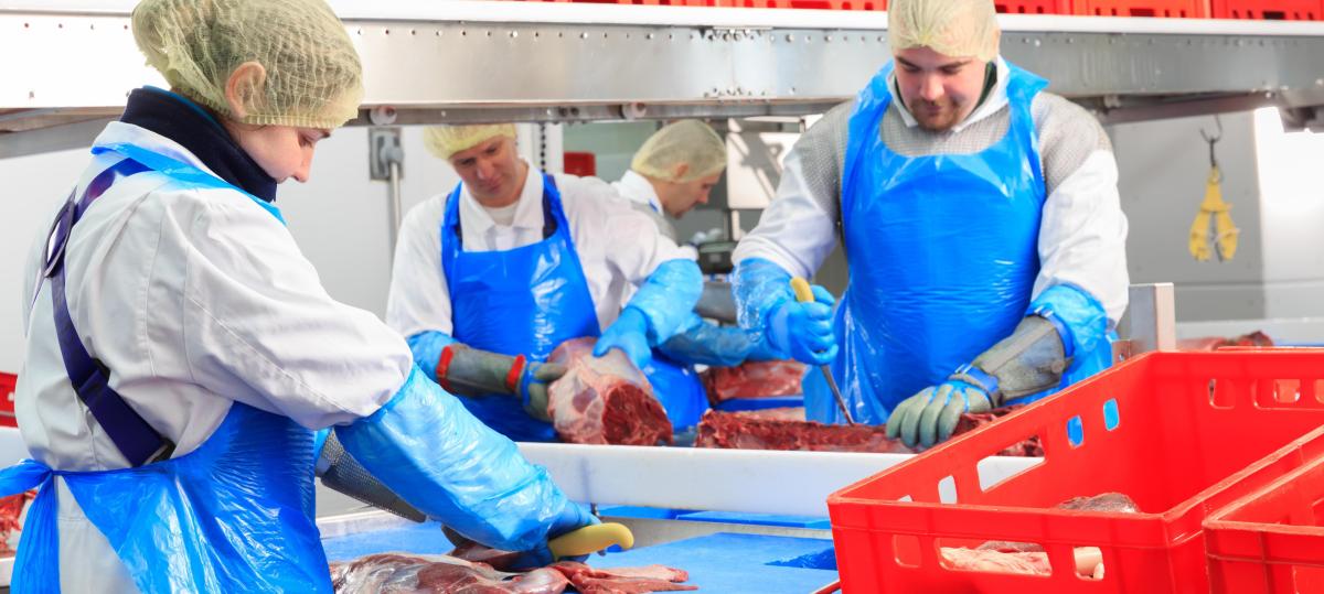 Betrieb wollte noch expandieren: Wildfleisch-Spezialist „Josef Maier“ ist insolvent