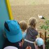 Die Kinder waren fasziniert vom Storch in der Nähe des Kindergartens in Reutti.