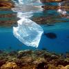 Riesige Mengen Plastik landen jedes Jahr in der Umwelt, wo sie nur sehr langsam abgebaut werden.