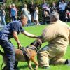 Polizeiaktionstag Der Aktionstag der Polizei unter dem Motto "Wertingen bewegt sich sicher" war ein voller Erfolg. Ein Highlight war die Vorführung der Hundestaffel.   