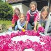 Kinder und Jugendliche der Pfarrgemeinde Nersingen richteten gestern Nachmittag die traditionellen Blumenteppiche für Fronleichnam her. Sie zieren am Donnerstag die Altäre.  