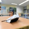 Das Gesundheitsamt Dillingen informiert über einen Coronafall an der Theresia-Haselmayr-Schule. 