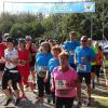 Bei bestem Wetter starteten am Sonntag viele kleine und große Läufer beim Meringer Marktlauf des TVM.